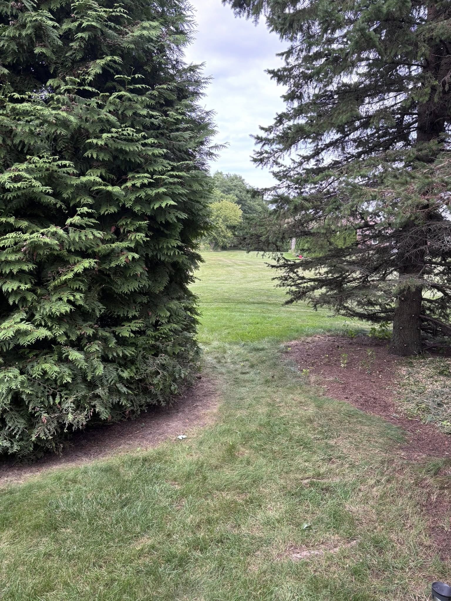 546247574_122117025086978403_2353395895390969950_n